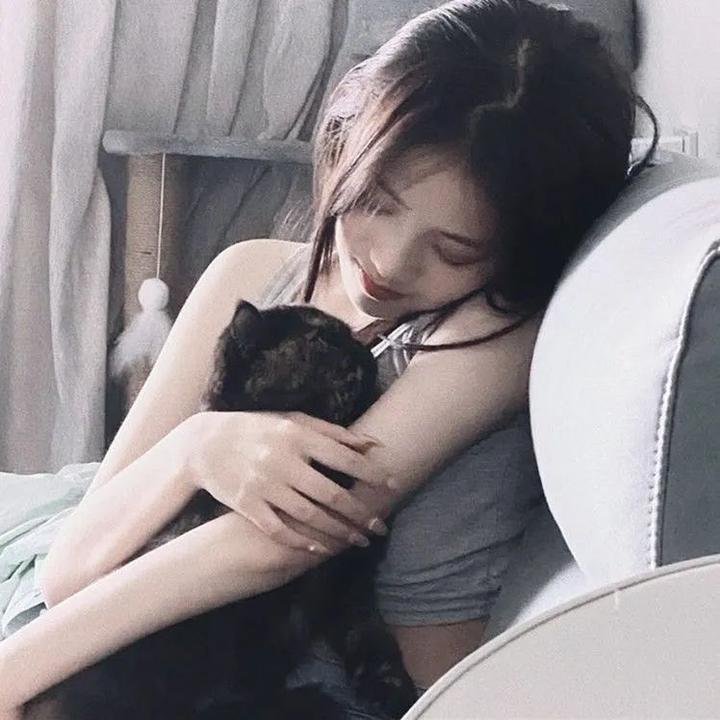 茶花彝女